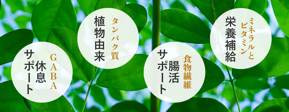 モリンガと菊芋の栄養と特徴