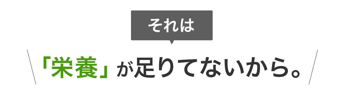 現代人の栄養不足