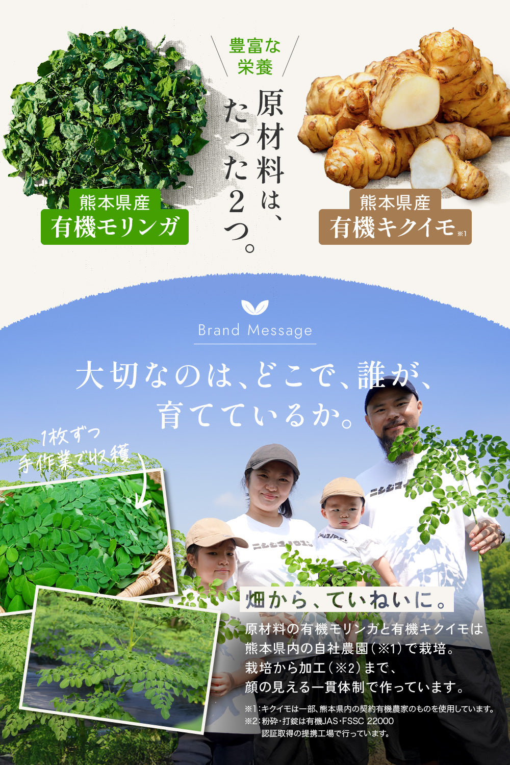 原材料は熊本産モリンガと菊芋のみ
