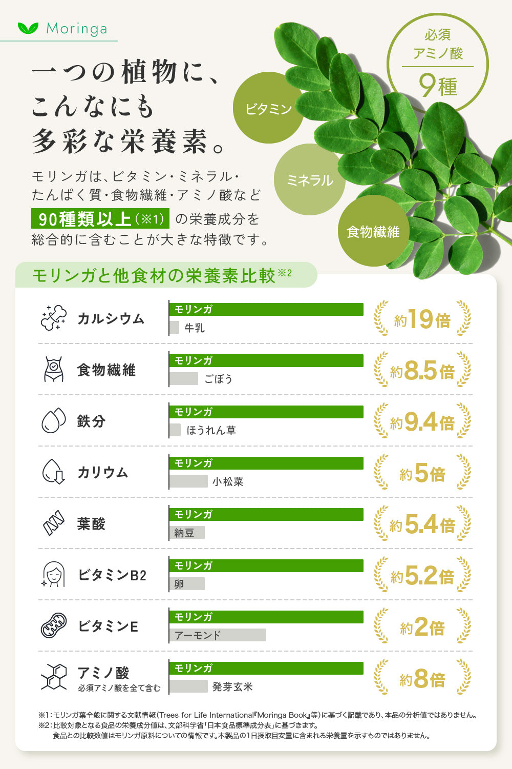 モリンガの説明