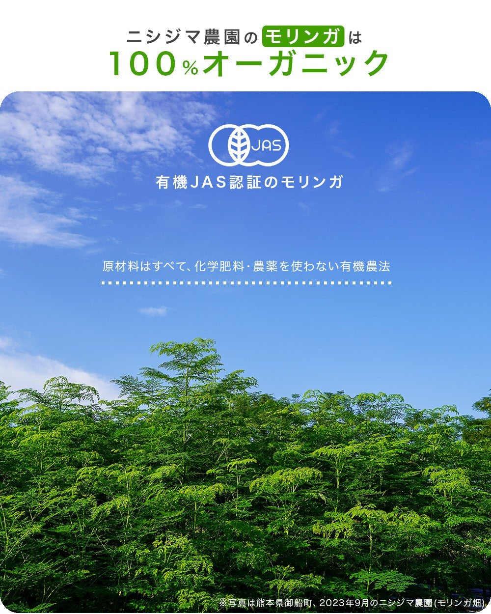 モリンガの栽培地・有機栽培