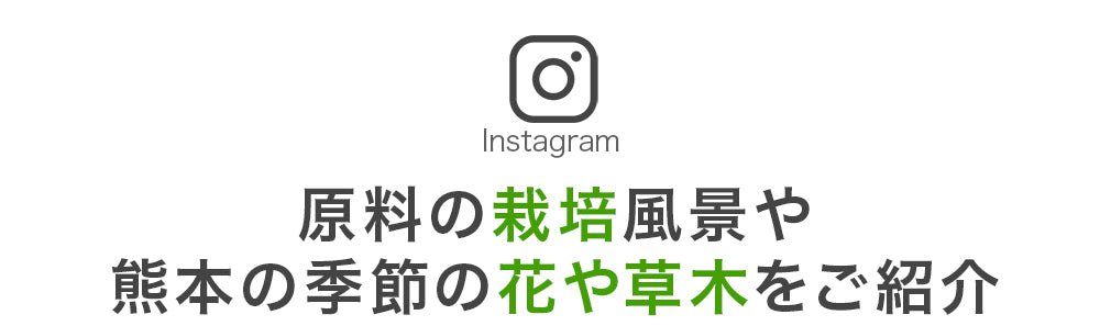 Instagramで畑の様子を発信中