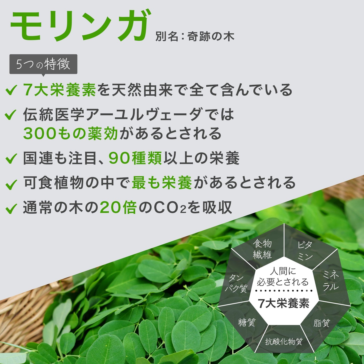 NONケミカル™サプリメント/ モリンガ × キクイモ - ニシジマ農園