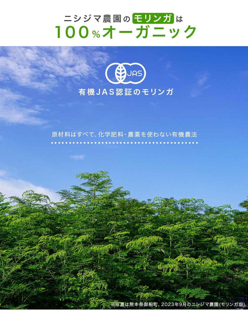 NONケミカル™サプリメント/ モリンガ × キクイモ - ニシジマ農園